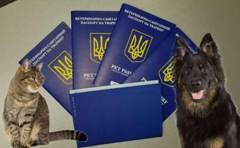 До уваги подорожуючих. Документи для тварини: як оформити паспорт.